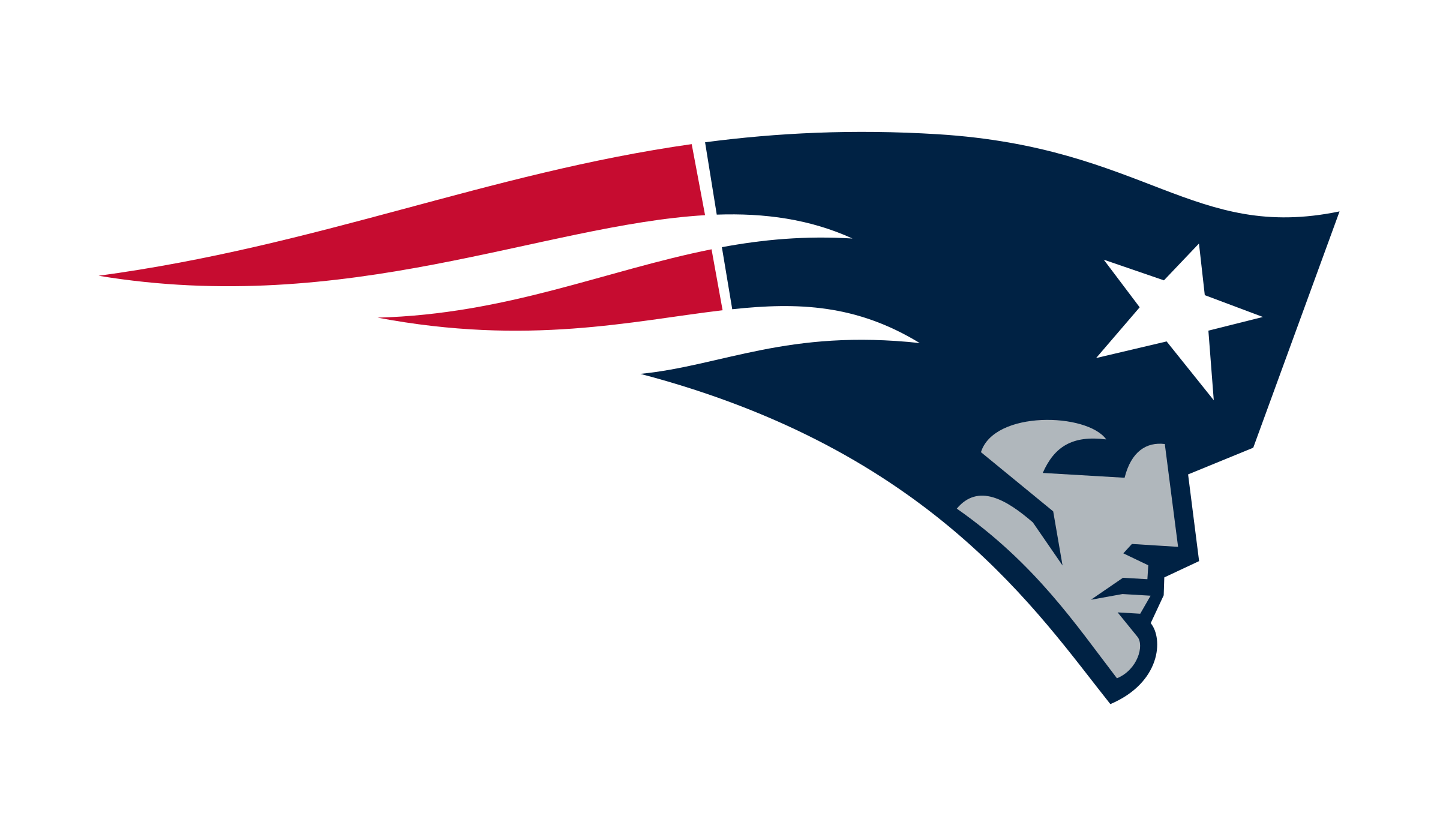 Patriots Logo